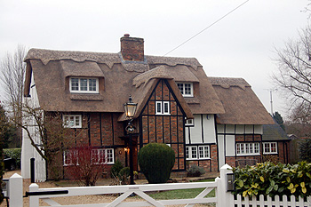 The Old House January 2009